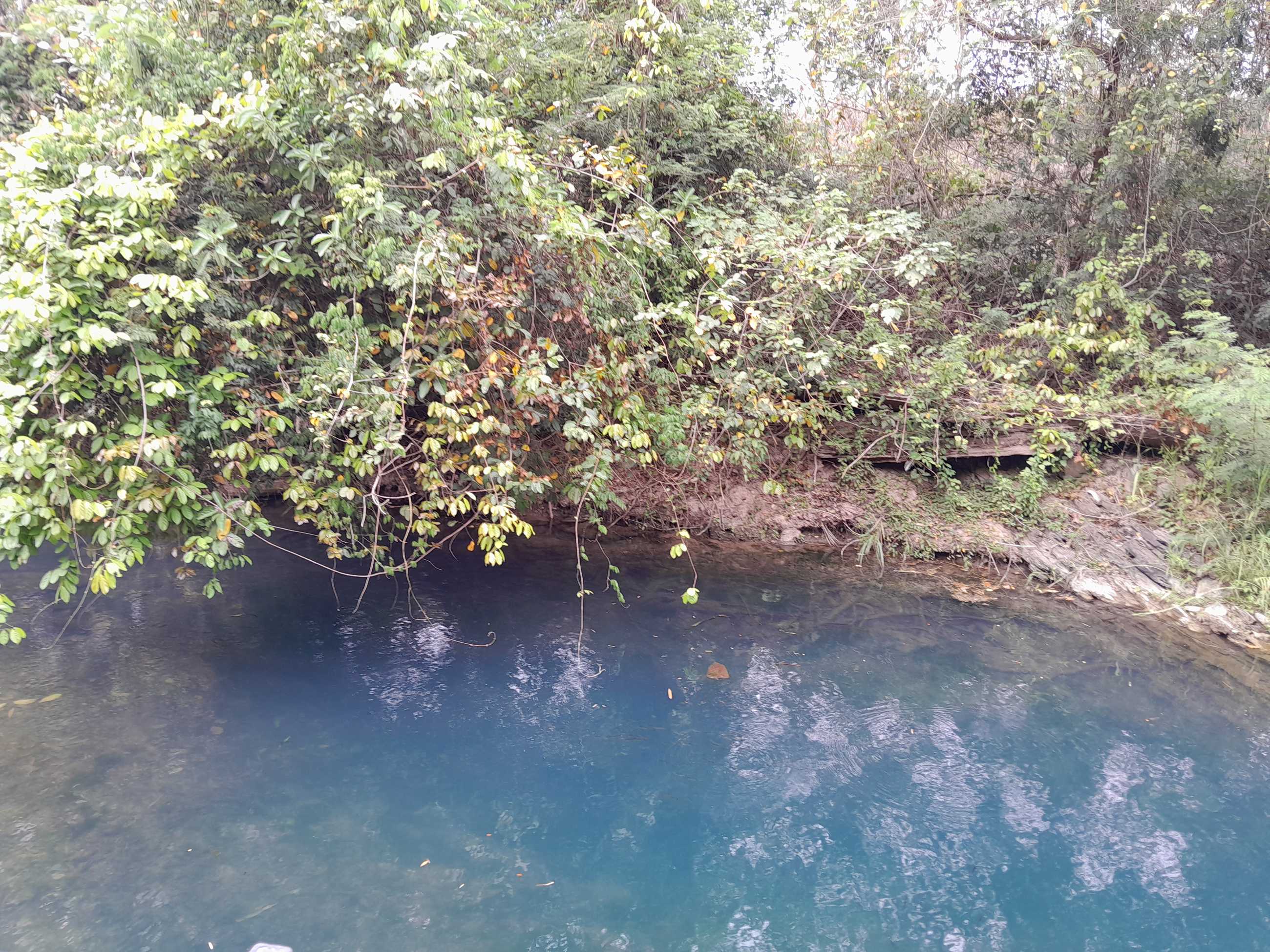 20240309_141137.jpg
