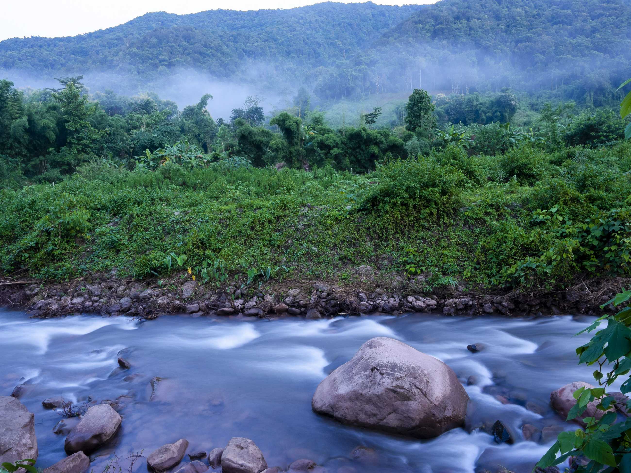 stones-soft-flowing-water-river-green-forest-mountain-with-fog-natural-landscape.jpg