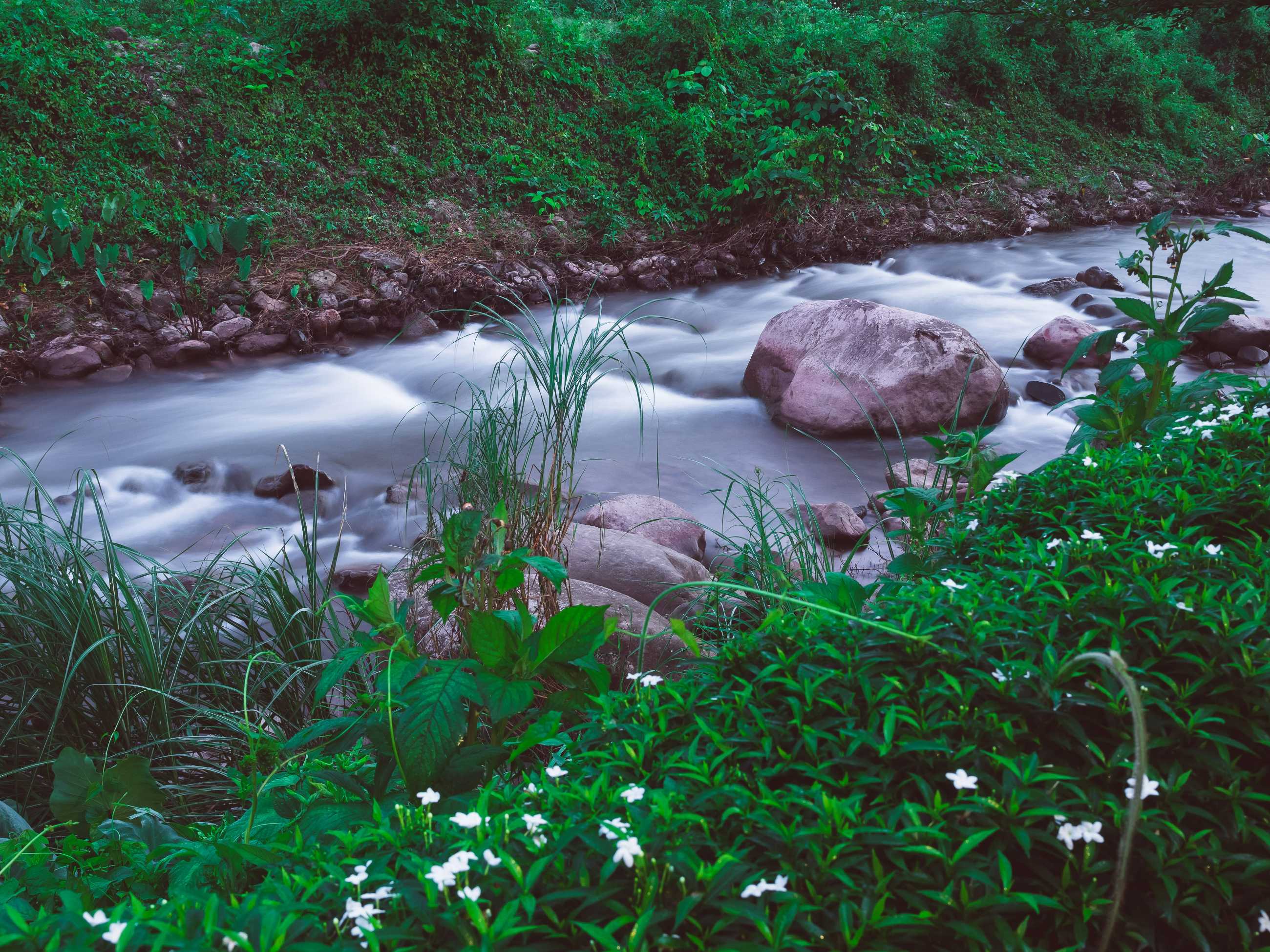 beautiful-natural-clear-fresh-stream-river-through-various-size-rocks-green-fore.jpg