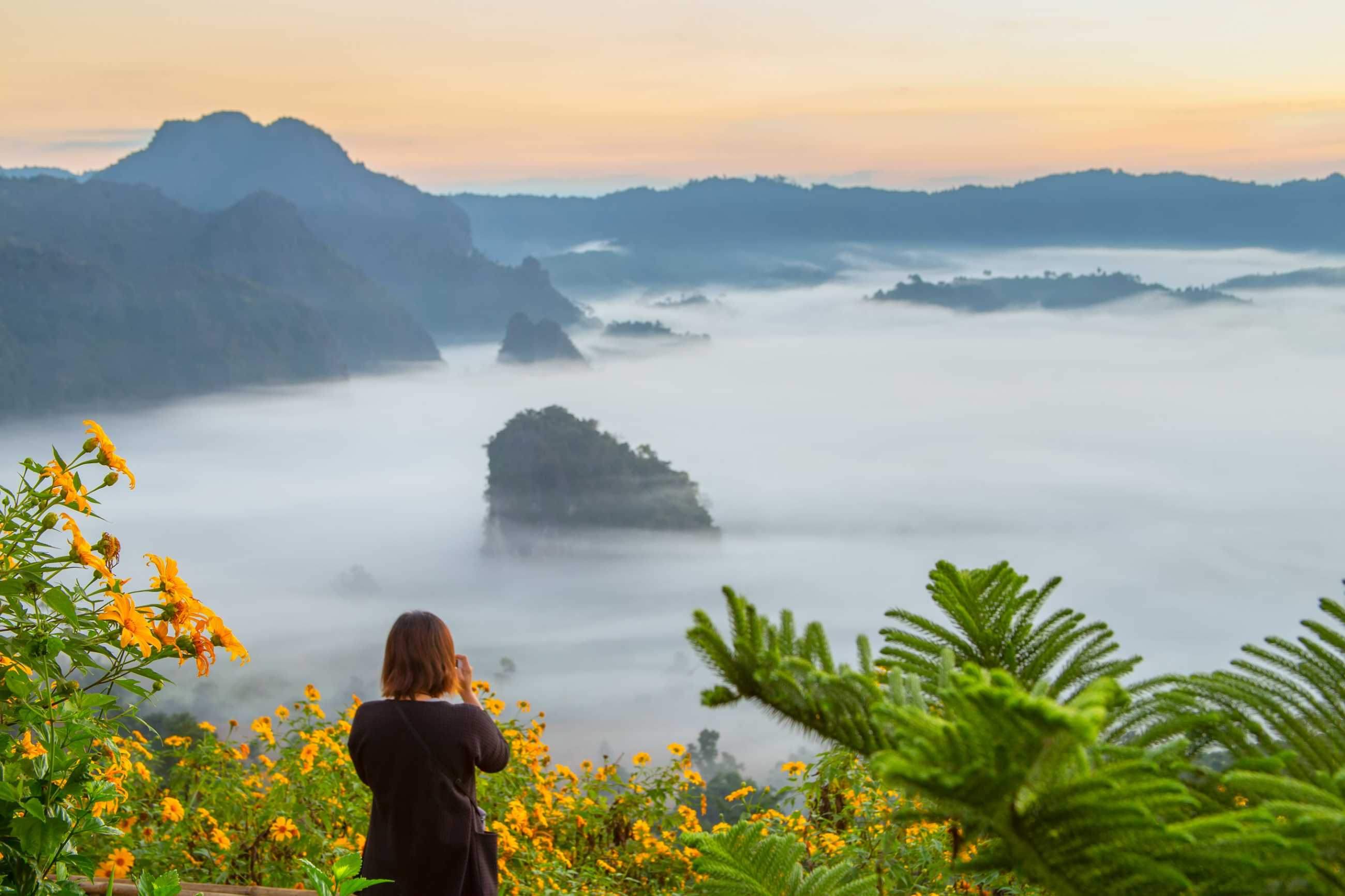 mountain-flower-views-phu-langka-national-park-thailand (2)_jadtrip.com.jpg