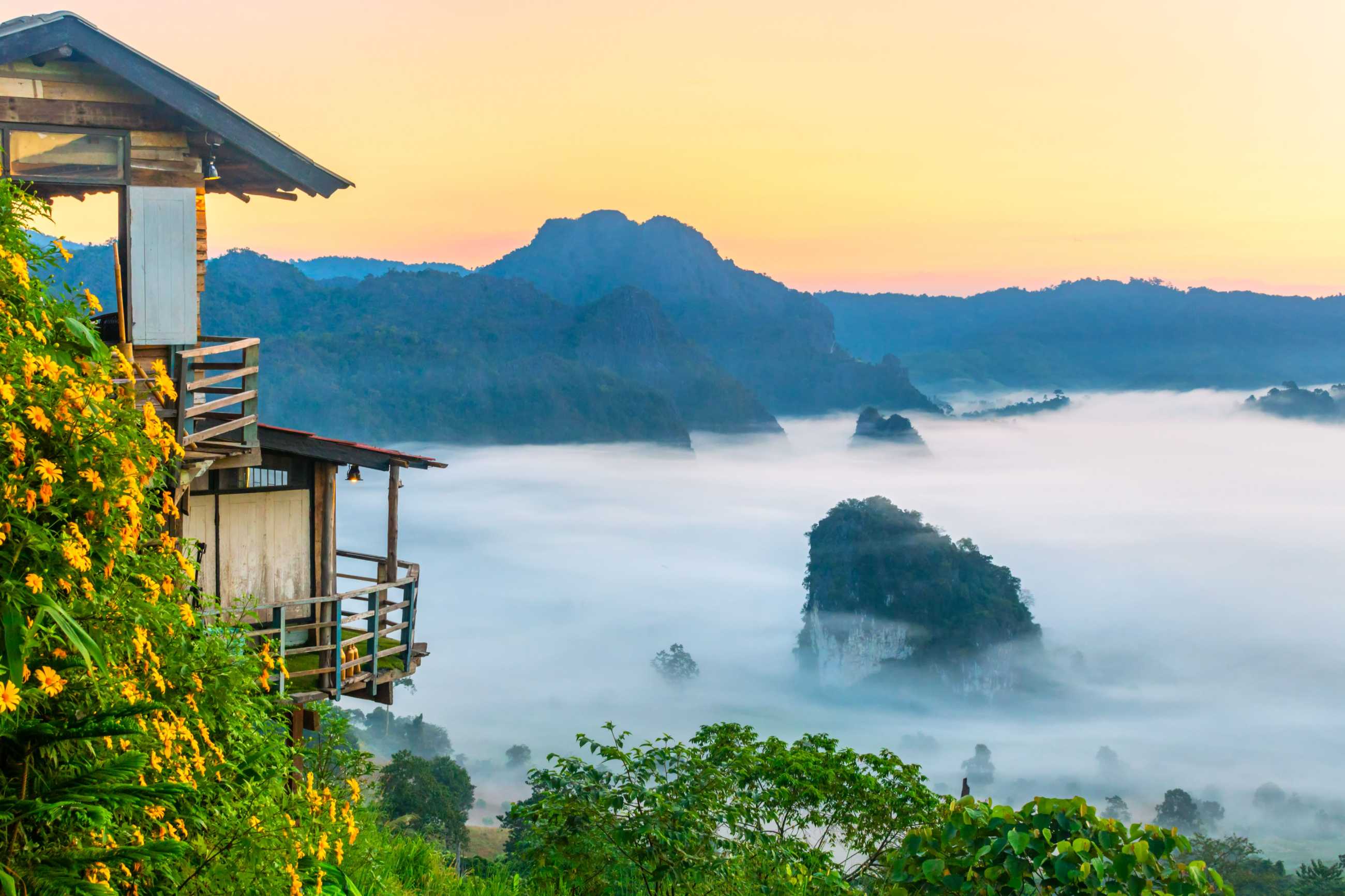 mountain-flower-views-phu-langka-national-park-thailand (5)_jadtrip.com.jpg