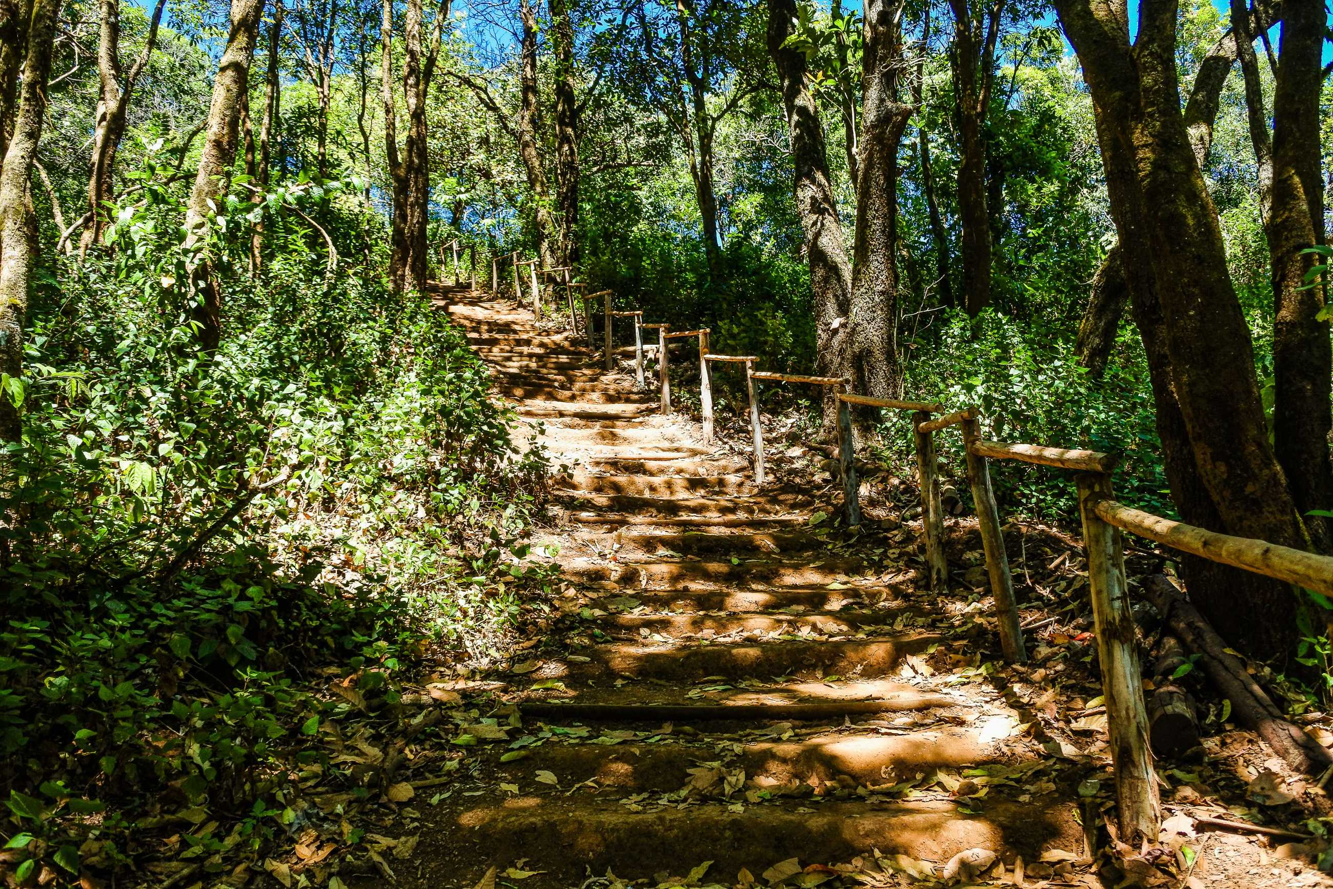 doi-pui-ko-moutain-view-point-mae-hong-son-thailand (2)_jadtrip.com.jpg