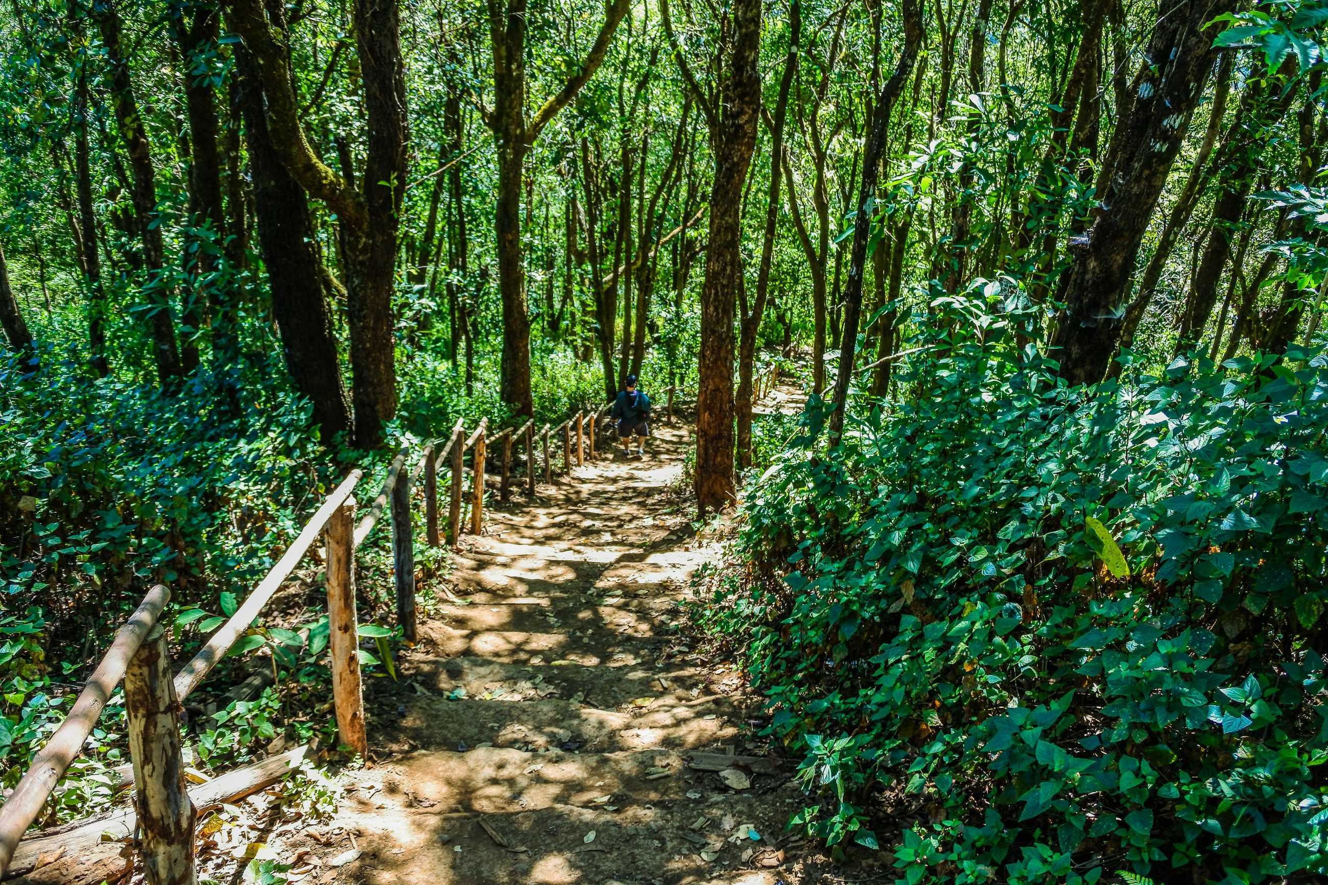 doi-pui-ko-moutain-view-point-mae-hong-son-thailand (1)_jadtrip.com.jpg