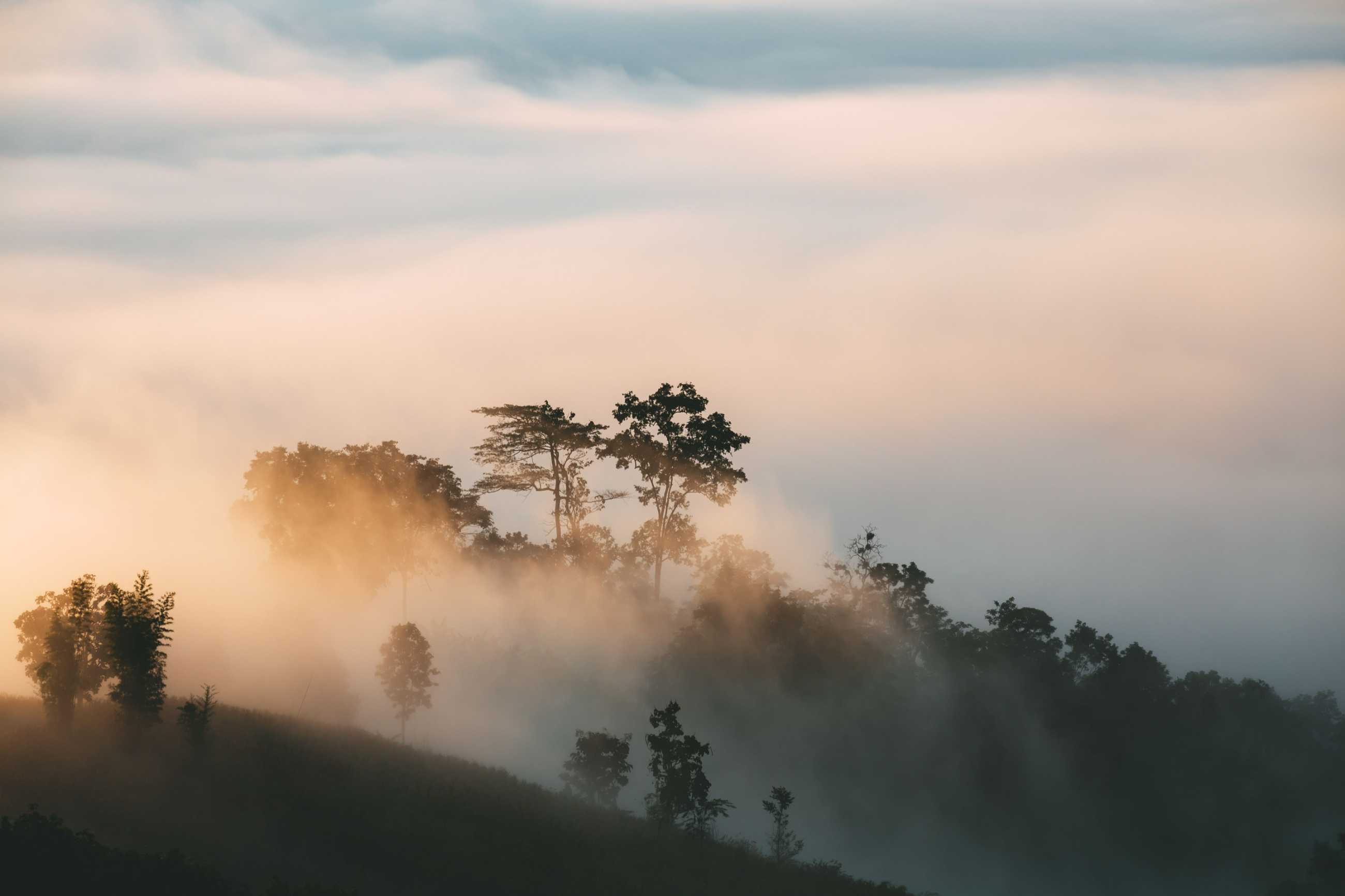 winter-travel-season-beautiful-landscape-fog-mountain-sunrise-yun-lai-viewpoint-.jpg