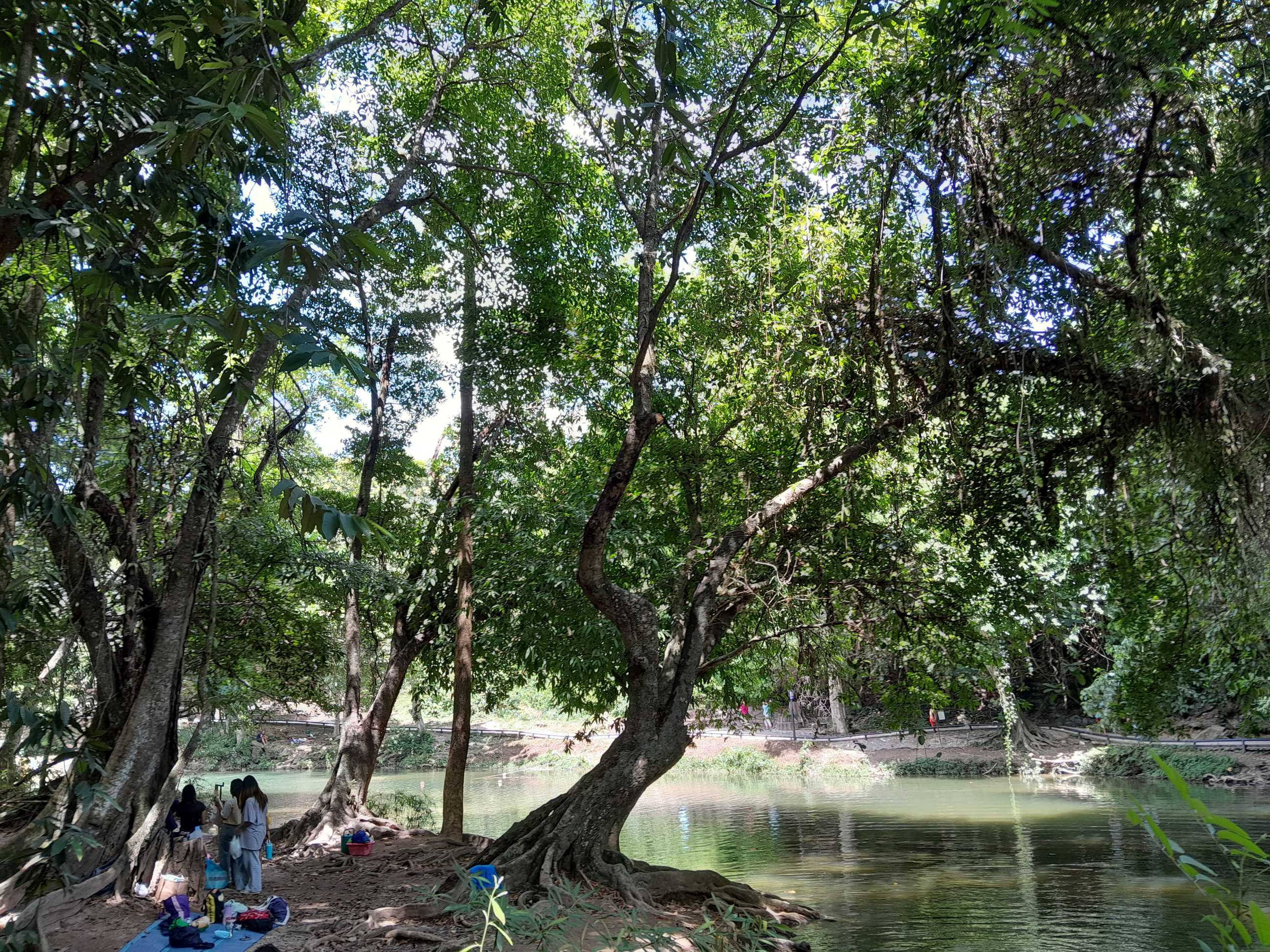 20240615_105240.jpg