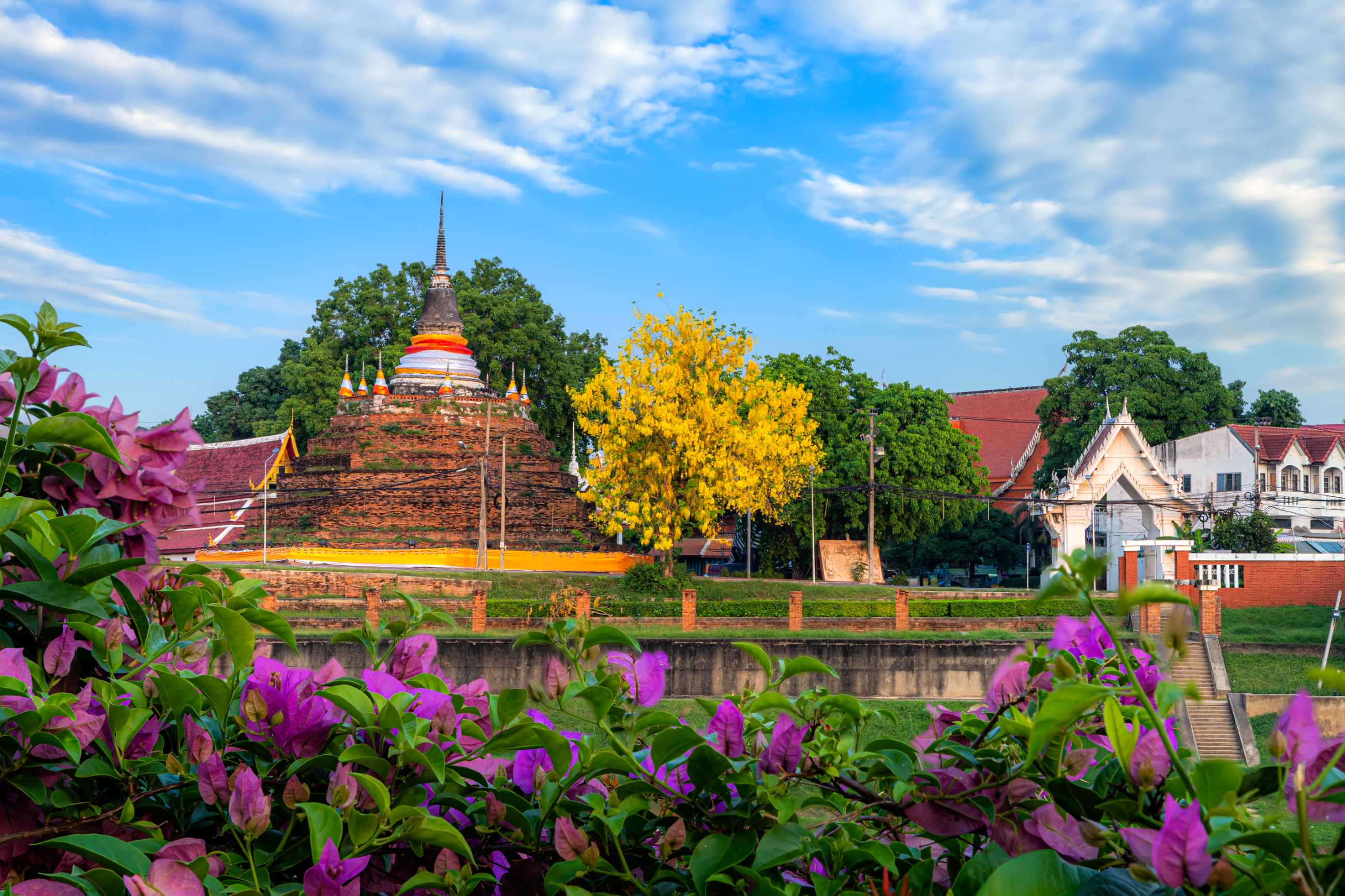 cassia-fistula-park-phra-chedi-luang-temple-wat-ratchaburana-is-buddhist-temple-.jpg
