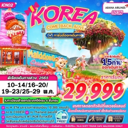 ทัวร์เกาหลี ตามรอยซีรี่ย์ดัง เกาะนามิ